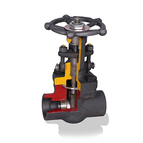 Y type Globe Valve