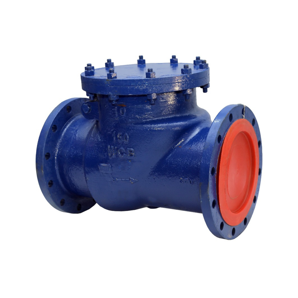 Cast Check Valve
